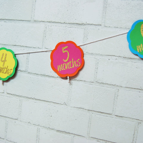 Fiesta First Birthday Photo Banner