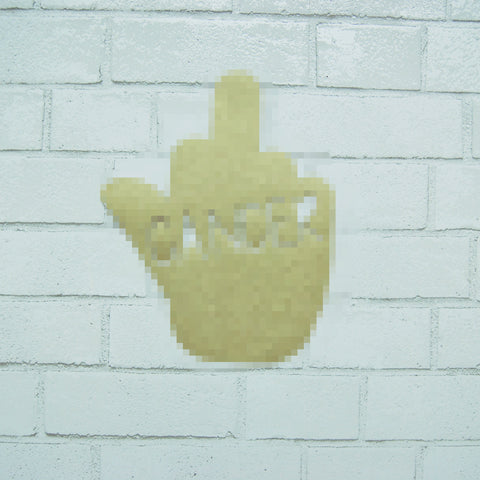 F**k Cancer Sign