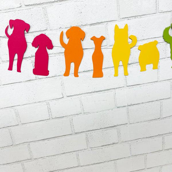 Let's Pawty Banner