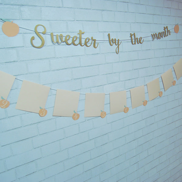 Sweeter By The Month Peach Monthly Photo Banner