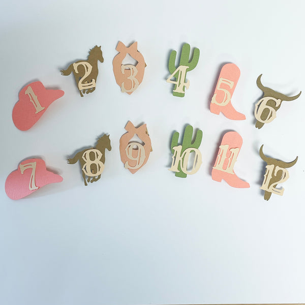 First Rodeo Birthday Decor