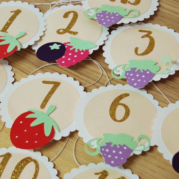 Berry Sweet Monthly Photo Banner