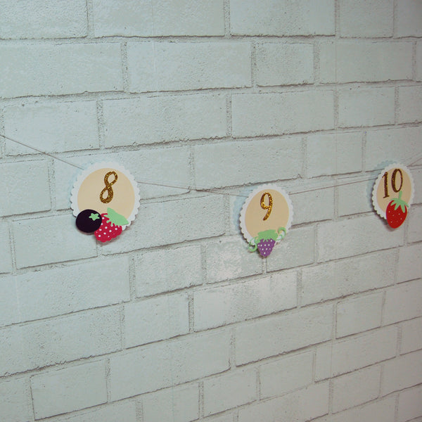 Berry Sweet Monthly Photo Banner