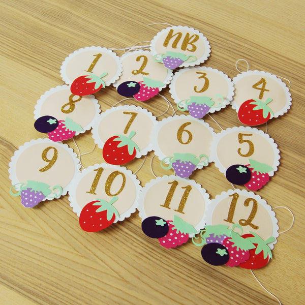 Berry Sweet Monthly Photo Banner