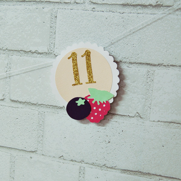 Berry Sweet Monthly Photo Banner