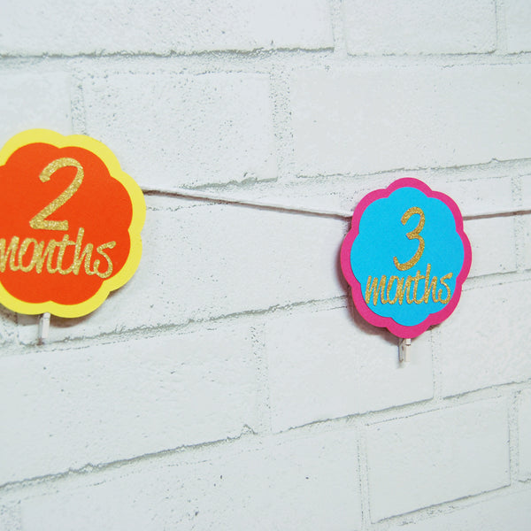 Fiesta First Birthday Photo Banner