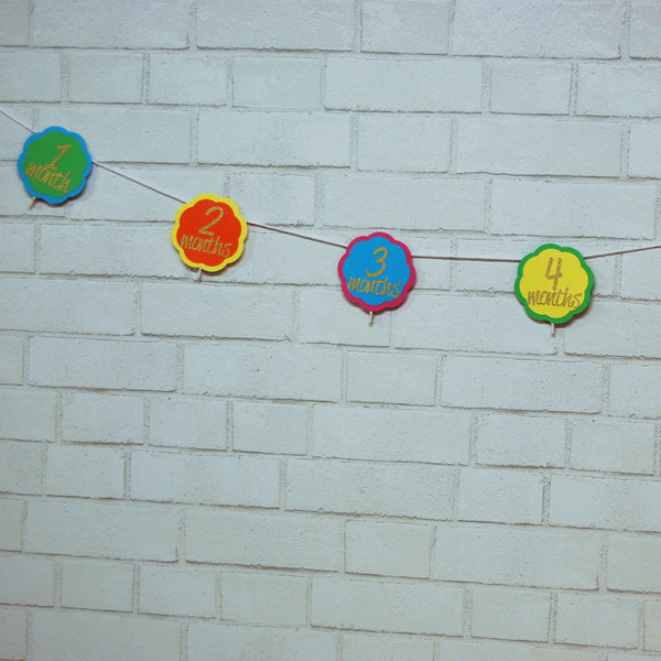 Fiesta First Birthday Photo Banner