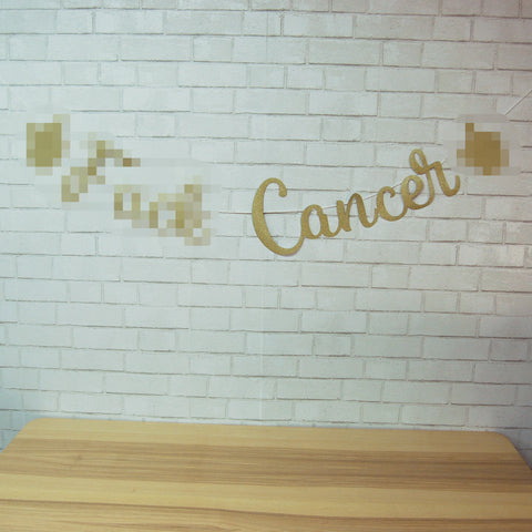 F**k Cancer Banner on Pinterest