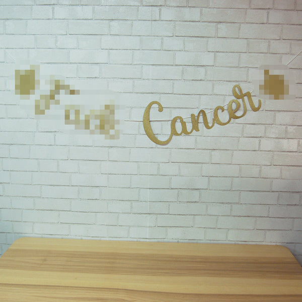 F**k Cancer Banner
