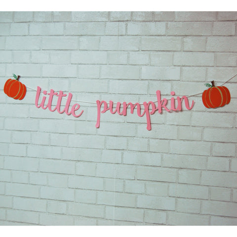 Little Pumpkin Banner on Pinterest