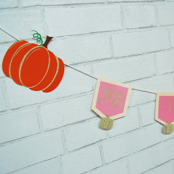 Little Pumpkin Monthly Photo Banner