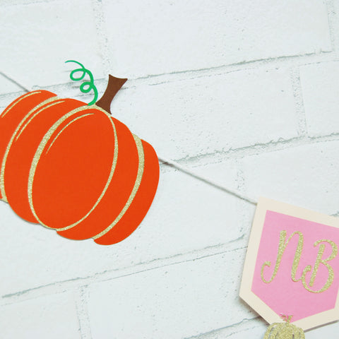 Little Pumpkin Monthly Photo Banner