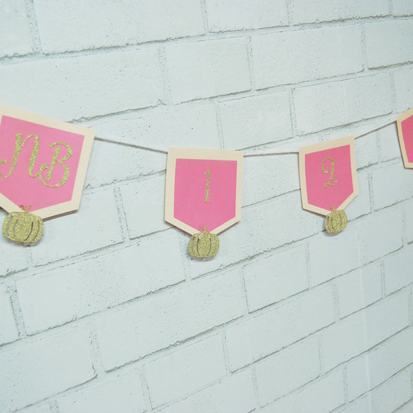 Little Pumpkin Monthly Photo Banner