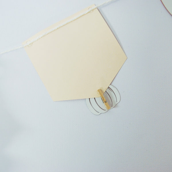 Little Pumpkin Monthly Photo Banner