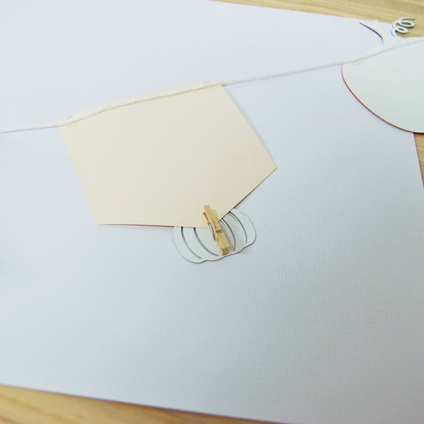 Little Pumpkin Monthly Photo Banner