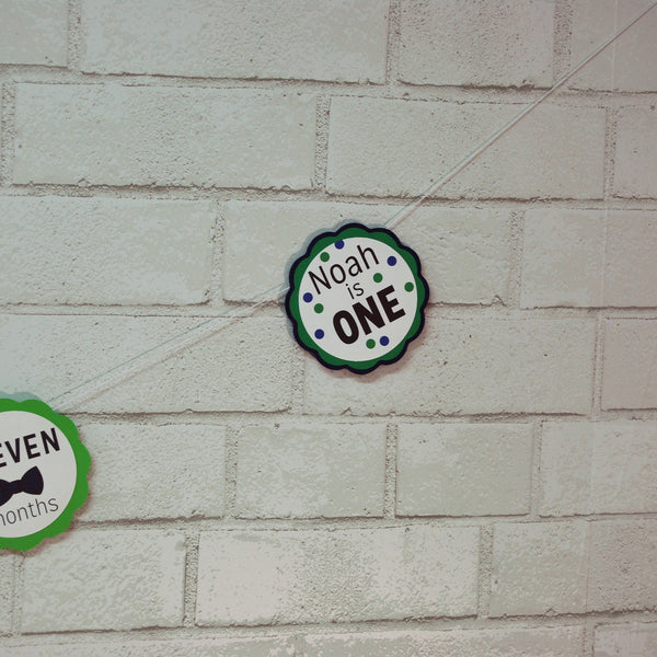 Mr.Onederful Monthly Photo Banner