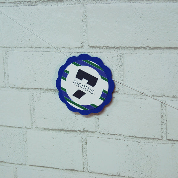 Mr.Onederful Monthly Photo Banner