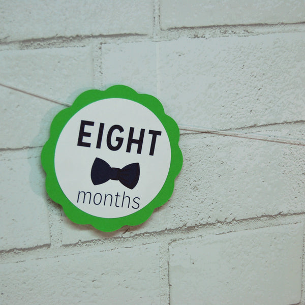 Mr.Onederful Monthly Photo Banner