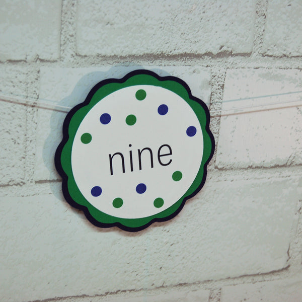 Mr.Onederful Monthly Photo Banner