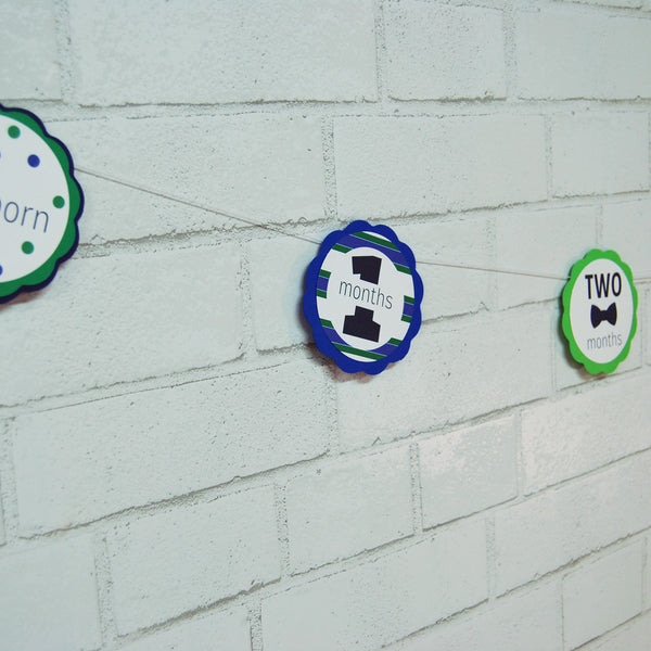 Mr.Onederful Monthly Photo Banner