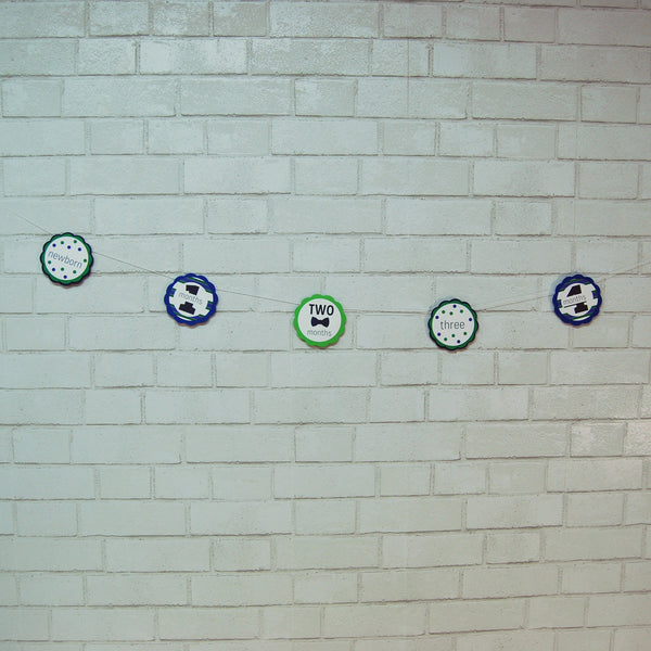 Mr.Onederful Monthly Photo Banner