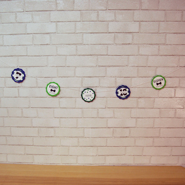 Mr.Onederful Monthly Photo Banner