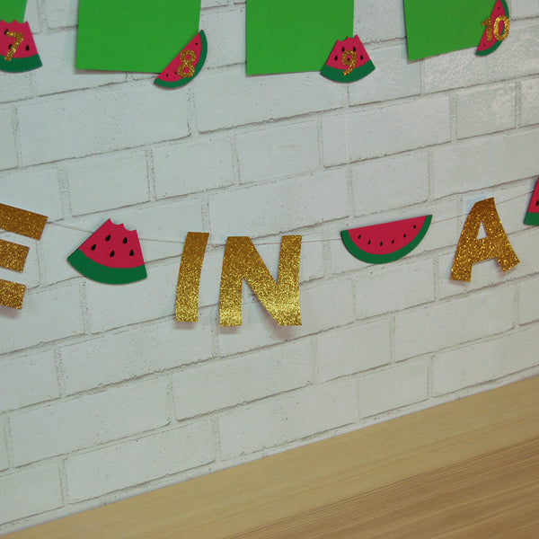 One In A Melon Monthly Photo Banner