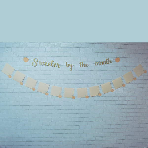 Sweeter By The Month Peach Monthly Photo Banner