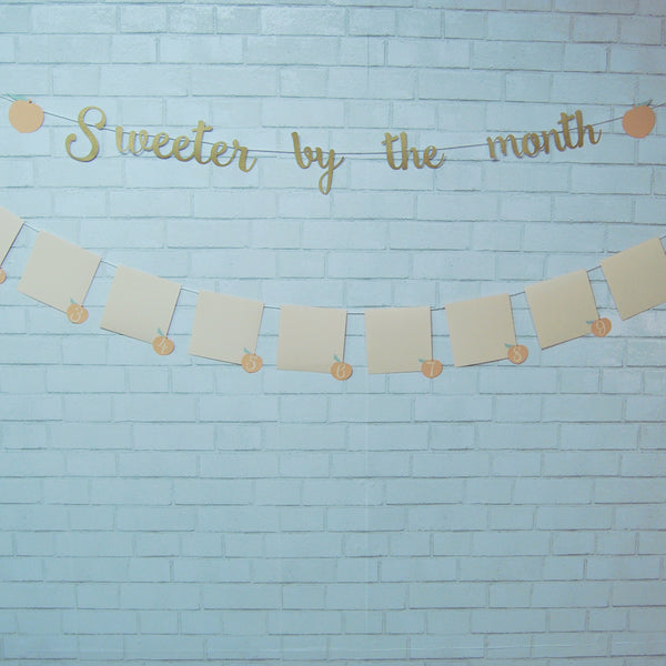 Sweeter By The Month Peach Monthly Photo Banner