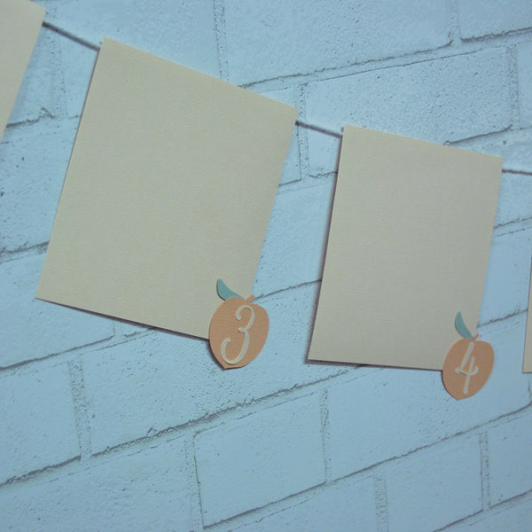 Sweeter By The Month Peach Monthly Photo Banner