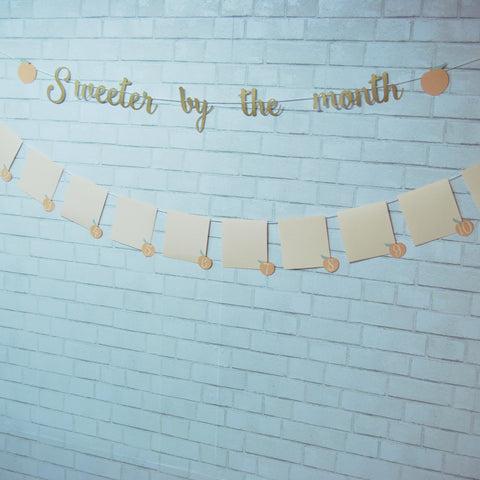 Sweeter By The Month Peach Monthly Photo Banner