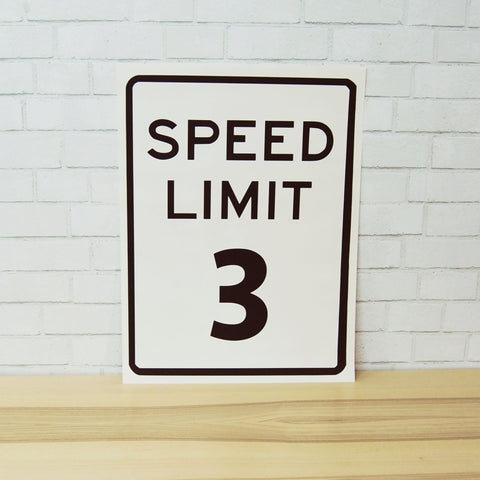 Speed Limit Birthday Party Sign