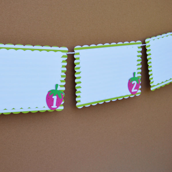 Strawberry Month By Month Photo Banner