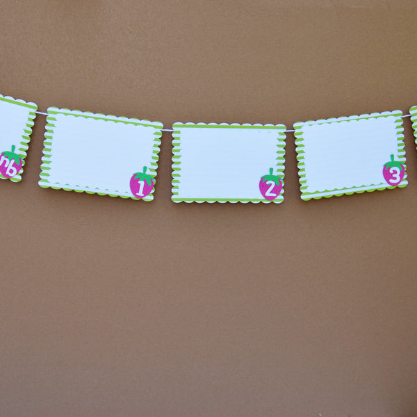 Strawberry Month By Month Photo Banner