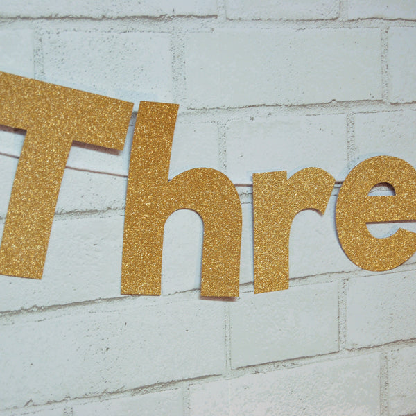 "Threesta" Fiesta Third Birthday Banner