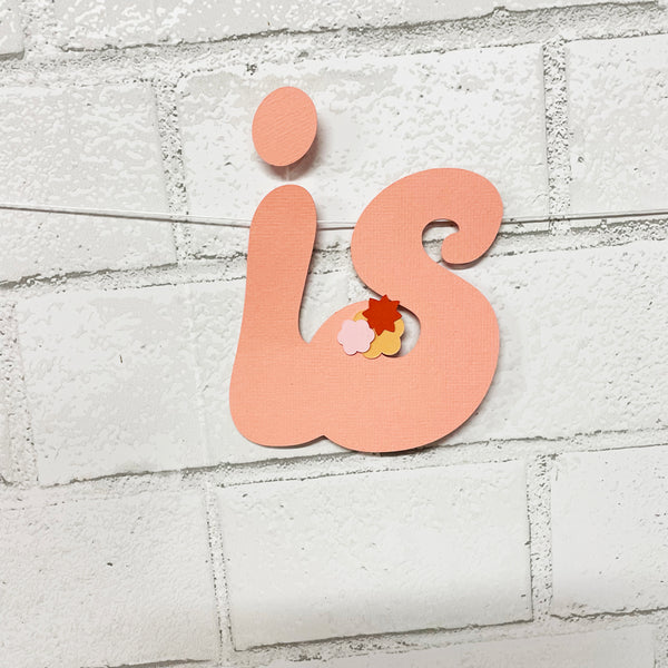 Two Groovy Birthday Banner