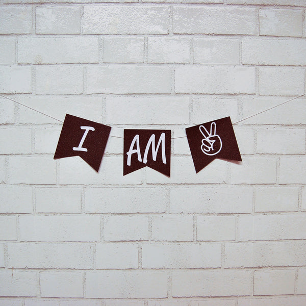 I Am Two High Chair Banner