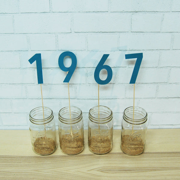 Birth Year Centerpiece